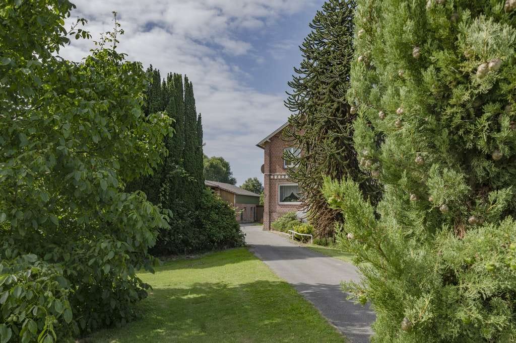 Immobilie in Grünendeich - Exklusives Anwesen im Alten Land – historischer Obsthof mit Bauland und außergewöhnlichem Potenzial - Bild 3