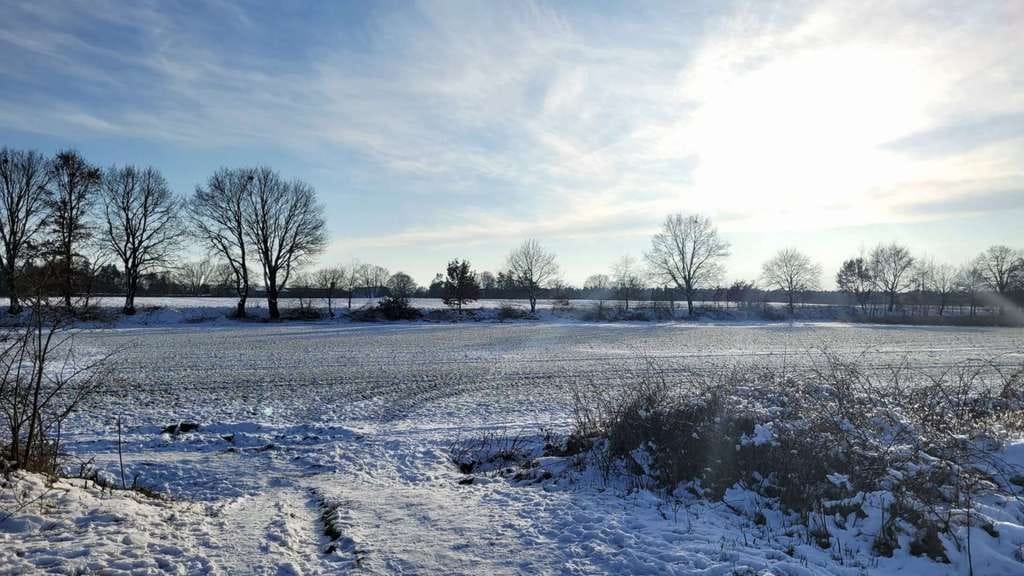 Immobilie in Bardowick - Familienfreundliche Doppelhaushälfte in sehr guter Lage von Bardowick - Bild 3
