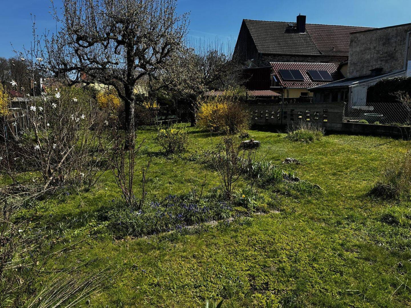 Immobilie in Dahlen - Kleines Stadthaus mit Garten in Dahlen zu verkaufen - Bild 1