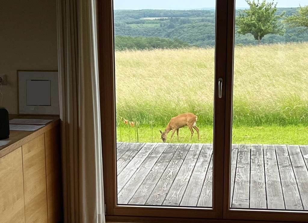 Immobilie in Klotten - Natur Pur! Modernes Wohnen mit unverbaubarem Blick ins Grüne - Bild 4