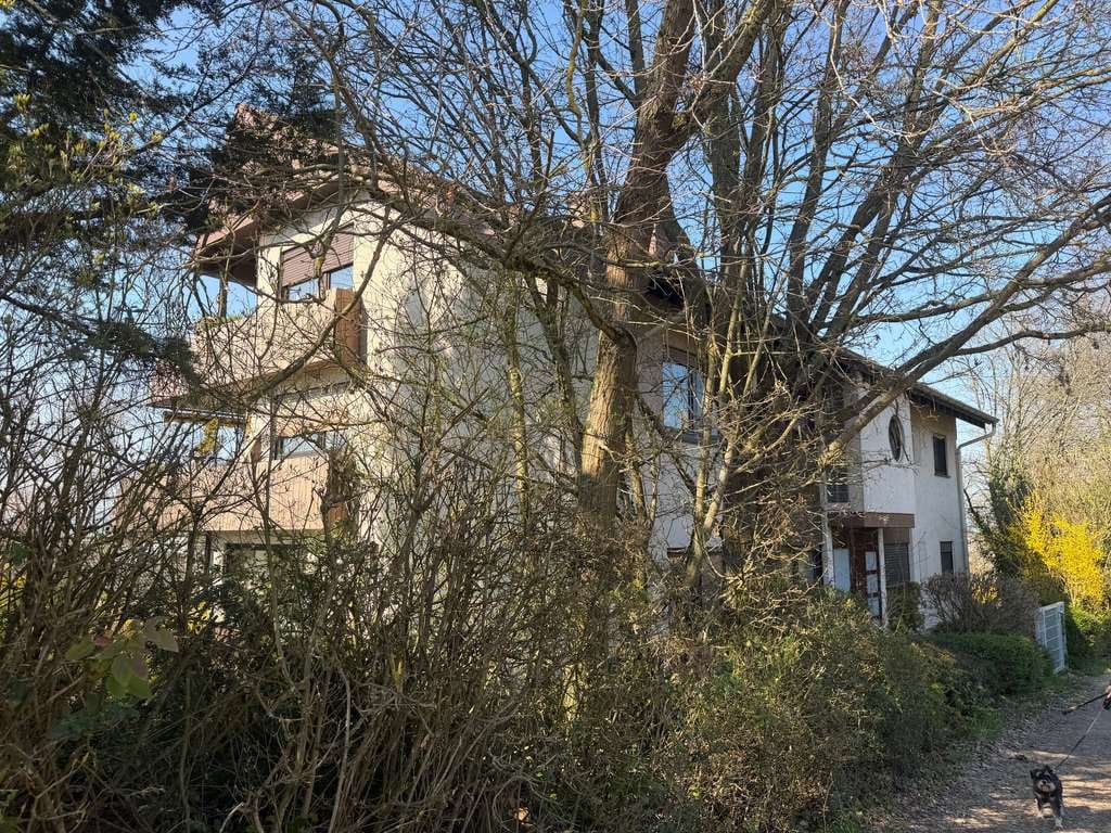 Immobilie in Gau-Algesheim - Gau-Algesheim: 3-Zimmer-Wohnung mit traumhaftem Weitblick - Bild 2