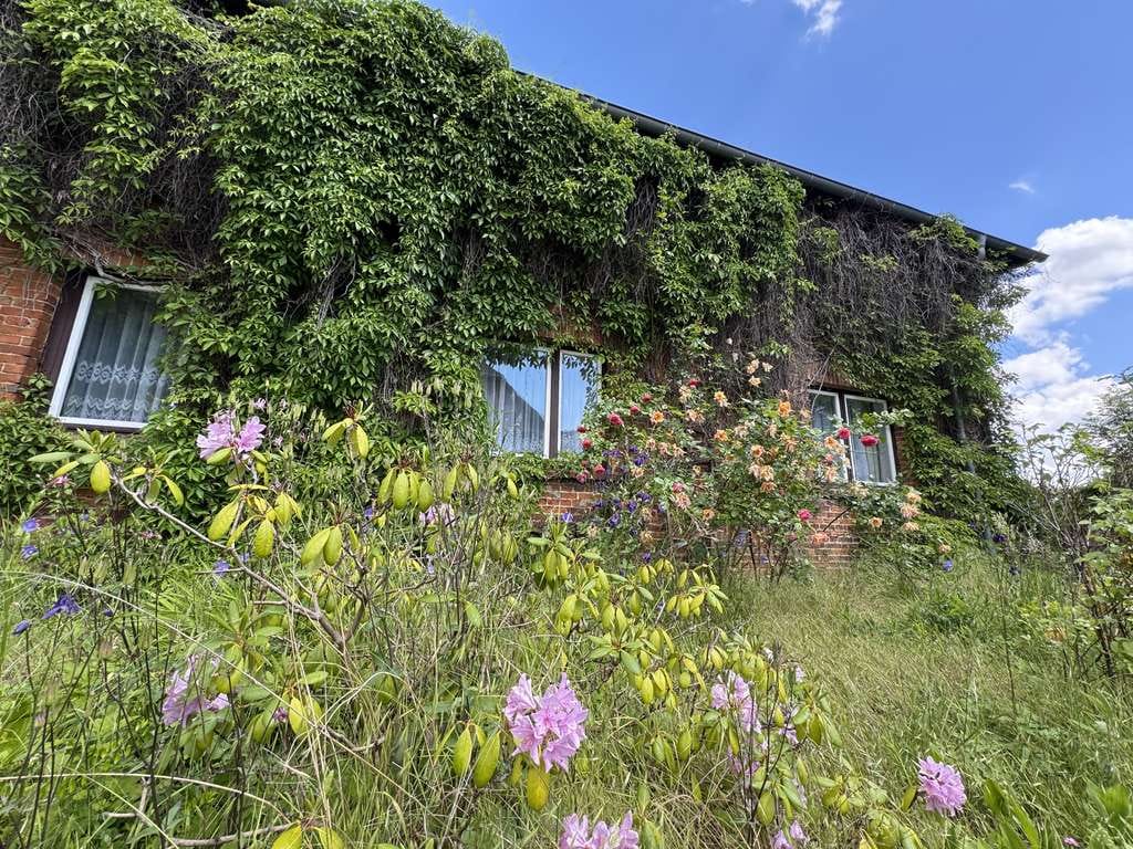 Immobilie in Dorf Mecklenburg - Charmantes Bauernhaus mit großem Grundstück und vielfältigen Nutzungsmöglichkeiten - Bild 3