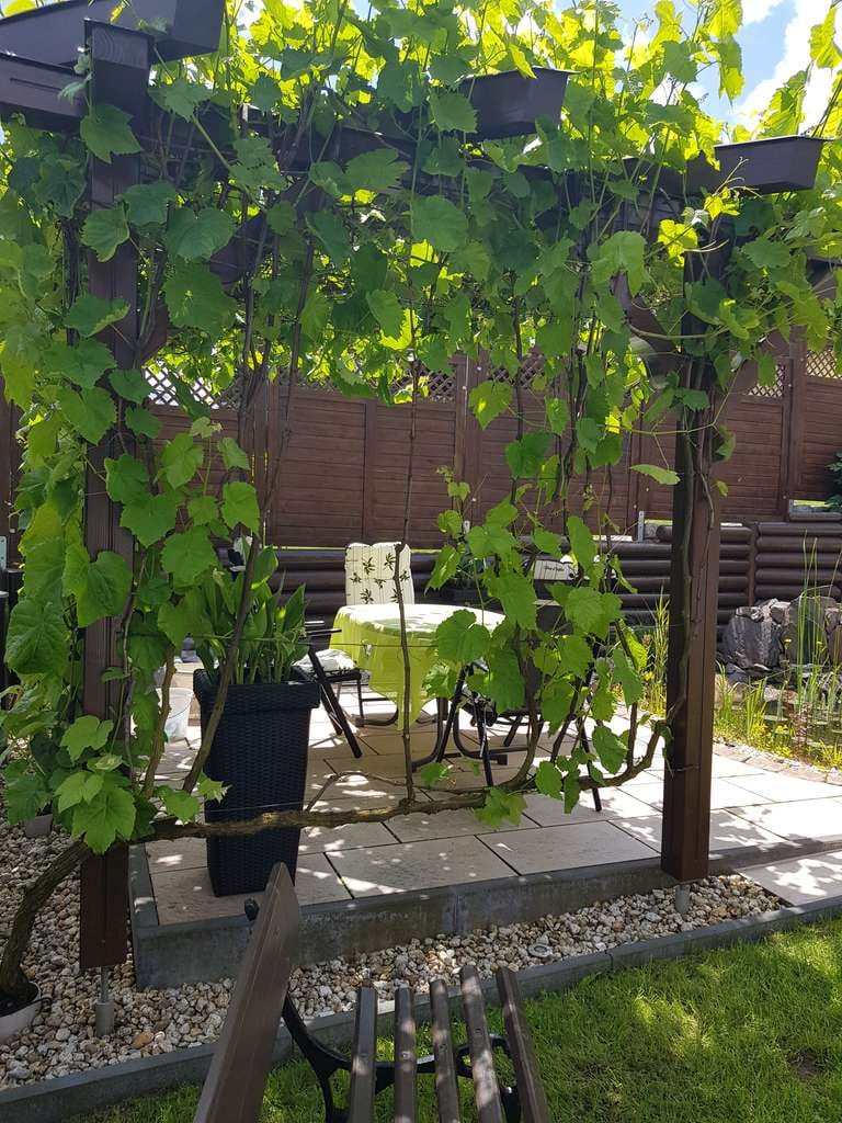 Immobilie in Unterwellenborn - Haus mit Einliegerwohnung im Bestzustand - Bild 4