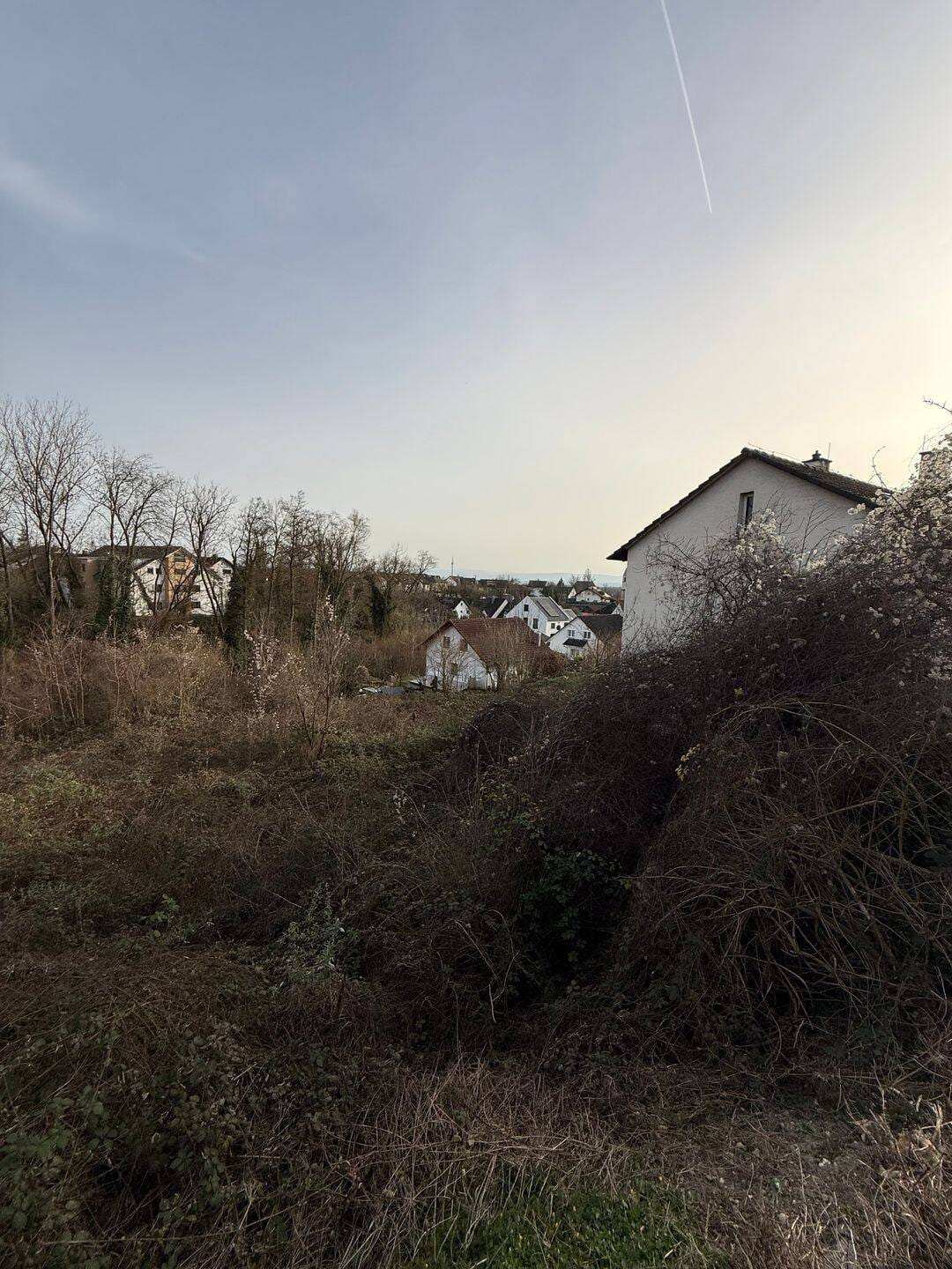Immobilie in Efringen-Kirchen - Einfamilienhaus / Ausbauhaus mit großem Grundstück - Bild 4