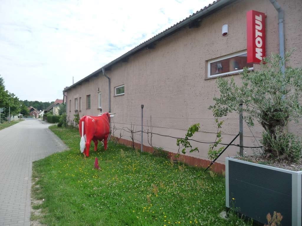 Immobilie in Eisenhüttenstadt - Großzügiges Wohnhaus mit Einliegerwohnung und 2 Hallen! - Bild 2