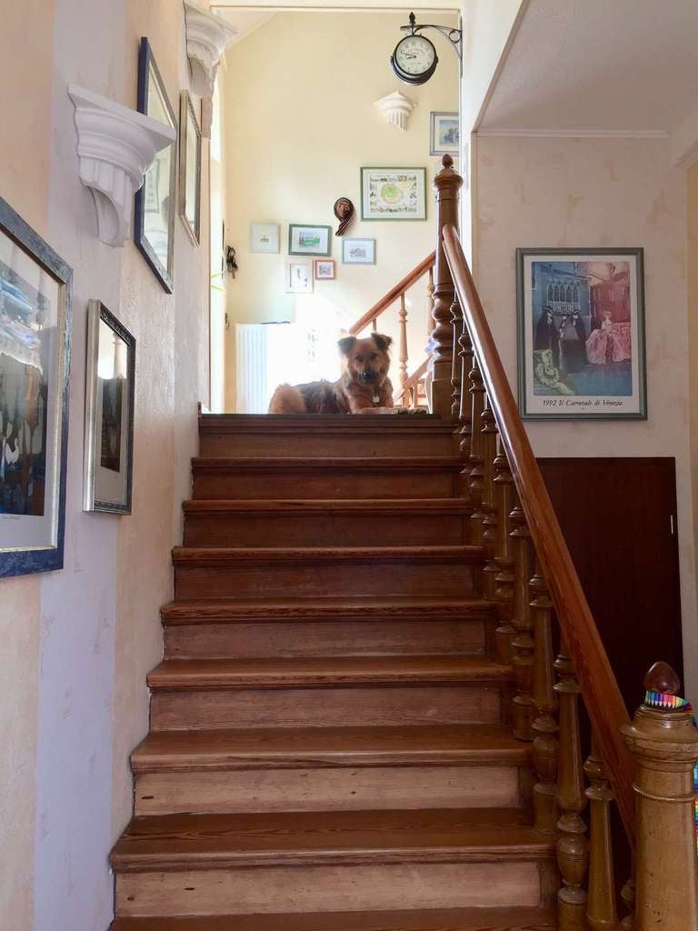 Immobilie in Butjadingen - Schönes Mehrfamilienhaus mit Vergangenheit und Zukunft - Bild 4