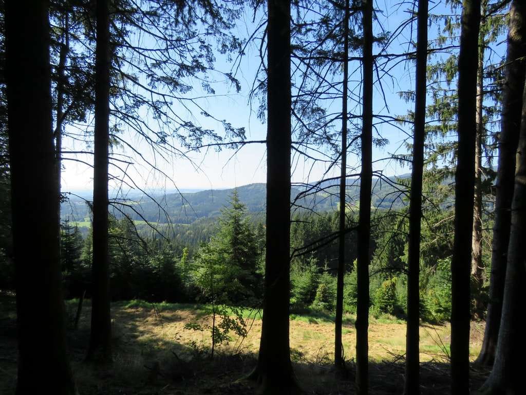 Immobilie in Bernried - Anwesen in absoluter Alleinlage umgeben vom eigenen Wald m. Fernsicht Nähe Schloss Egg - Bild 3