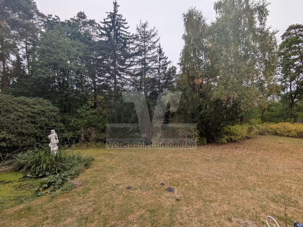 Immobilie in Sassenburg - ** Großes Haus mit viel Privatsphäre ** - Bild 4