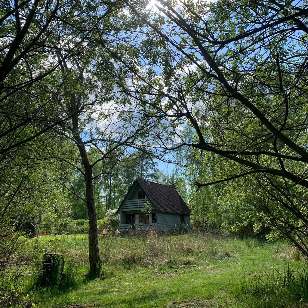 Immobilie in Mühlenbecker Land - ⭐ Wochenendgrundstück mit Haus und 2553m² Provisionsfrei !!! ⭐ - Bild 2