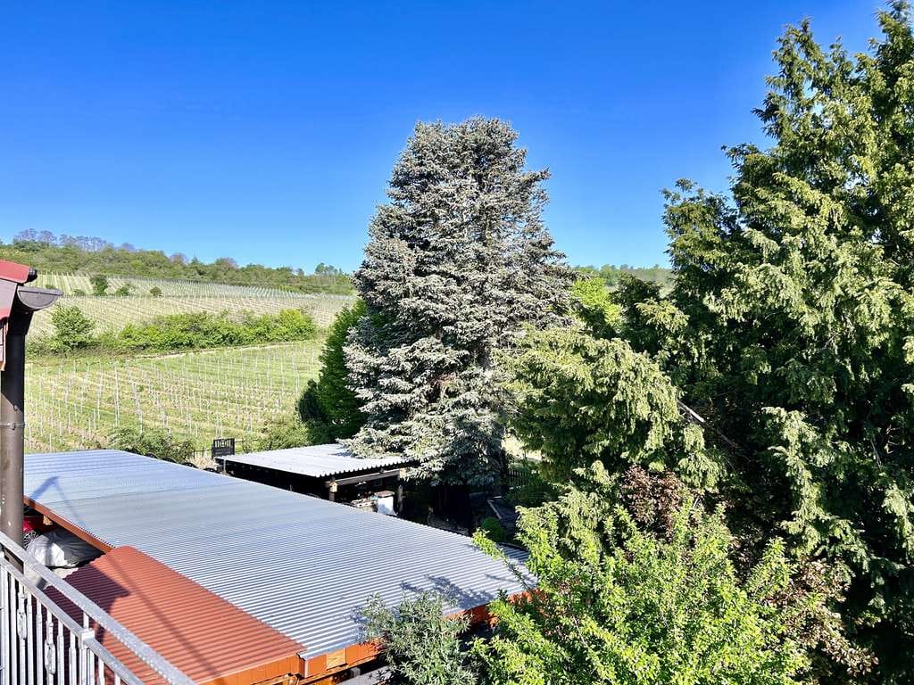 Immobilie in Kallstadt - Wohnen mit Stil und Flair... komfortable 2 ZKB-Mietwohnung mit Einbauküche und Sonnenbalkon - Bild 1