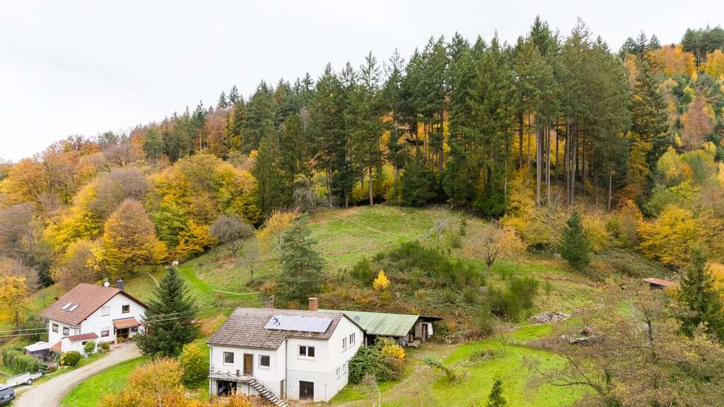 Immobilie in Sulzburg - Einfamilienhaus 
zwischen Grün- und Waldfläche
Großzügig  - Grün - Gestaltbar - Bild 0