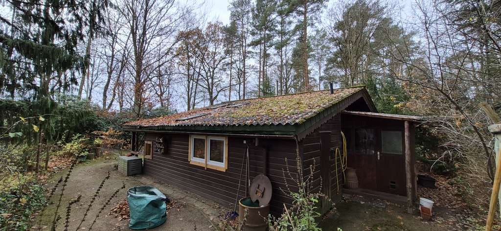 Immobilie in Hitzacker - Idyllisches Blockhaus in gefühlter Alleinlage - Bild 3