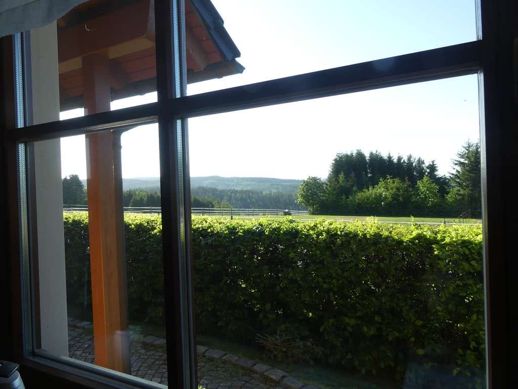 Immobilie in Markneukirchen - Kleinod im oberen Vogtland - modernes Wohnhaus, neues Nebengebäude Carports, Stallungen uvm. - Bild 4