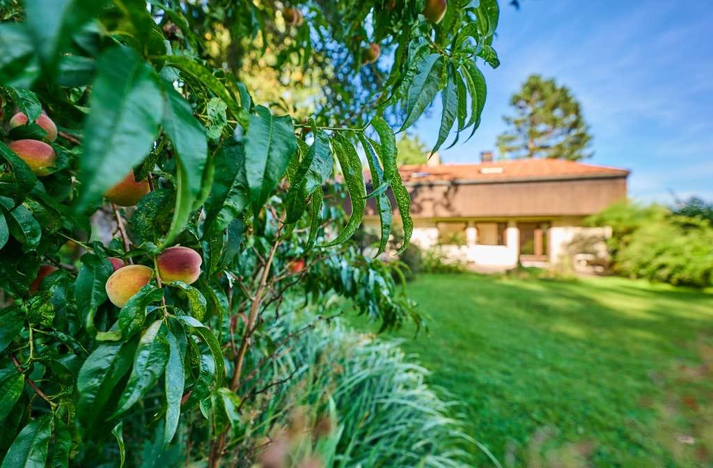 Immobilie in Miesbach - Rarität in Miesbach: Architektenhaus mit Waldfläche & viel Privatsphäre - Bild 4