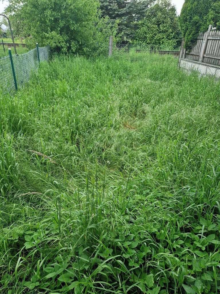 Immobilie in Glauburg - Glauburg - Handwerkerpotenzial -3Zi Haus mit Garten,Scheune und E-Ladestation - Bild 4