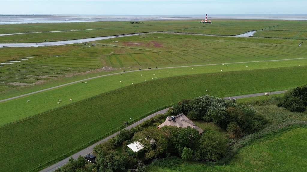 Immobilie in Westerhever - Top Reetdachhaus unterm Nordseedeich in Westerhever - Bild 4
