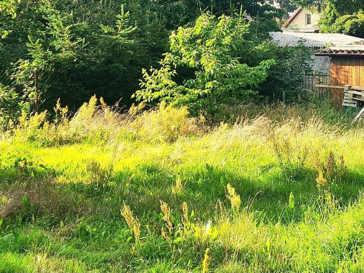 Immobilie in Mühlenbecker Land - FINALER PREIS | PROVISIONSFREI | Bungalow Handwerkerobjekt auf Baugrundstück zum Bodenrichtwert - Bild 2