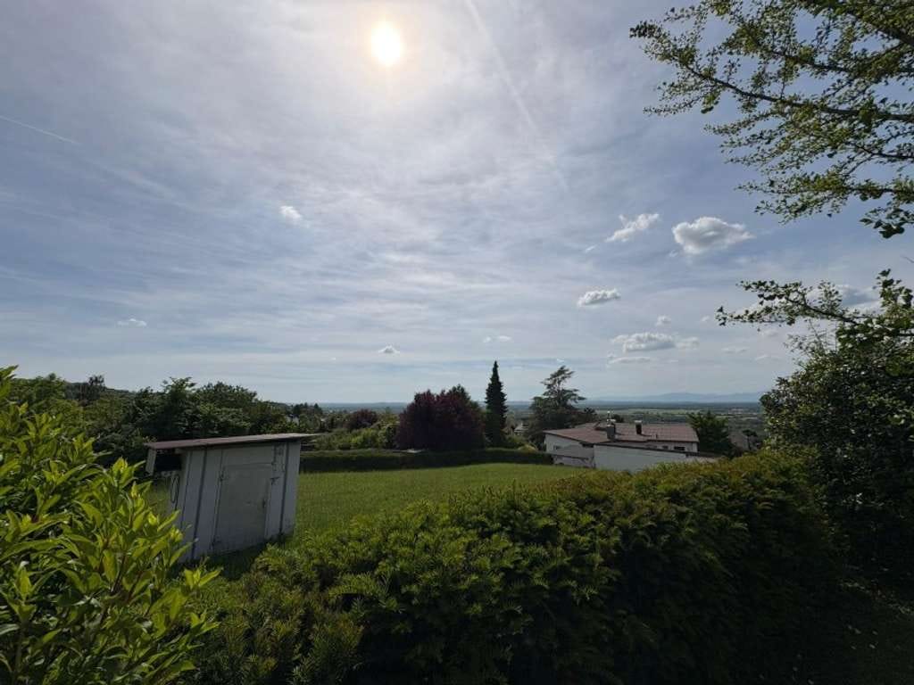 Immobilie in Bad Bellingen - Landhausvilla mit großem Grundstück - Bild 1