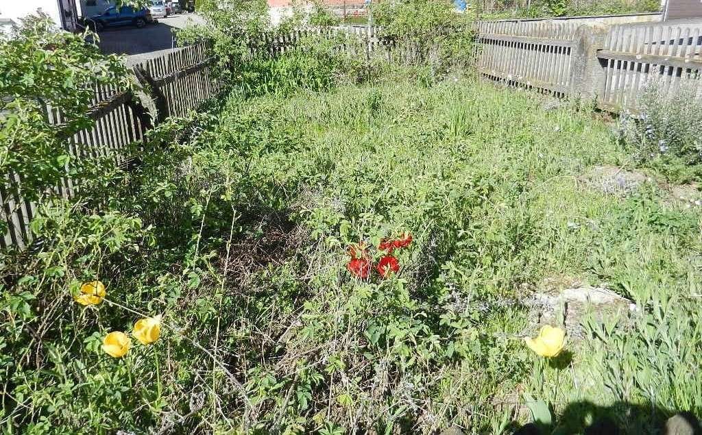 Immobilie in Gschwend - Freistehendes Wohnhaus mit 2 Wohnungen und Nebengebäuden - Bild 4