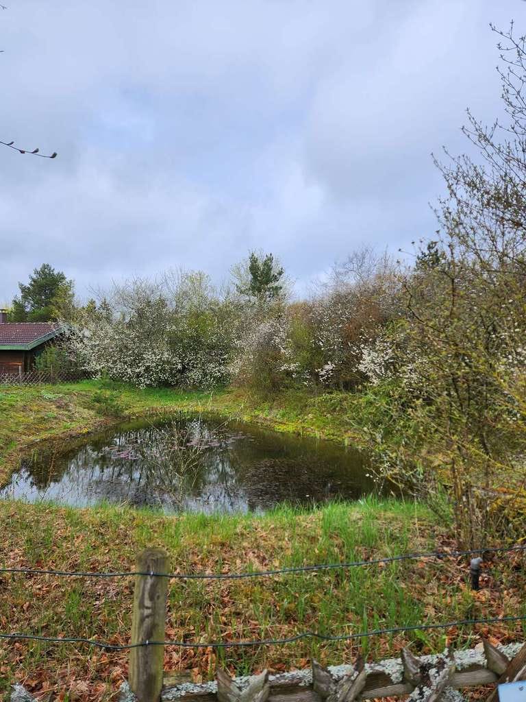 Immobilie in Hayingen - Ferienhaus Lauterdörfle Hayingen Idyllisches 3-Zimmer-Ferienhaus - Bild 4