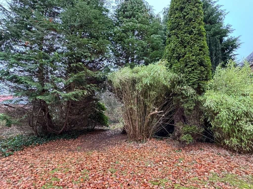Immobilie in Großheide - Landhaus mit großem Grundstück in zentraler Lage von Großheide - Bild 3