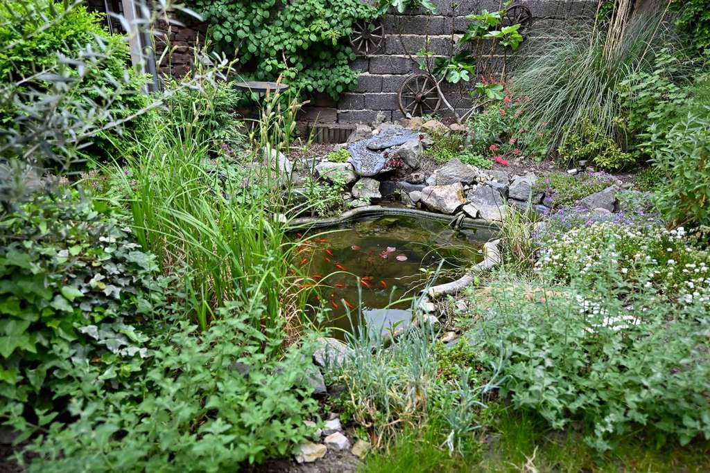 Immobilie in Walldorf - Ruhige Gartenidylle mitten in Walldorf – saniertes Zweifamilienhaus mit Maisonette-Wohnung - Bild 2