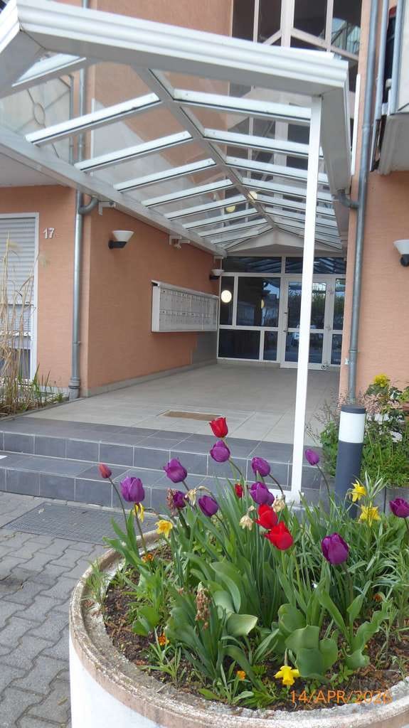 Immobilie in Roßdorf - + Modernes Wohnen mit Terrasse in beliebter Lage von Groß-Zimmern. 2 Zi. EG Wohnung, Barrierefrei + - Bild 1