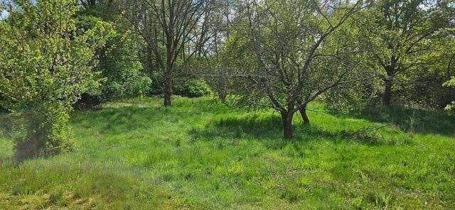 Immobilie in Hitzacker - Offen für faire Preisgespräche +++ Großzügiger Bungalow mit 17 Räumen – ehem. Praxis, jetzt privat nutzbar - Bild 4