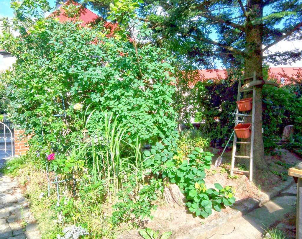 Immobilie in Bautzen - Budyšin - Teilmodernisiertes Reihenendhaus mit Terrasse in ruhiger Wohnlage in Bautzen - Bild 2