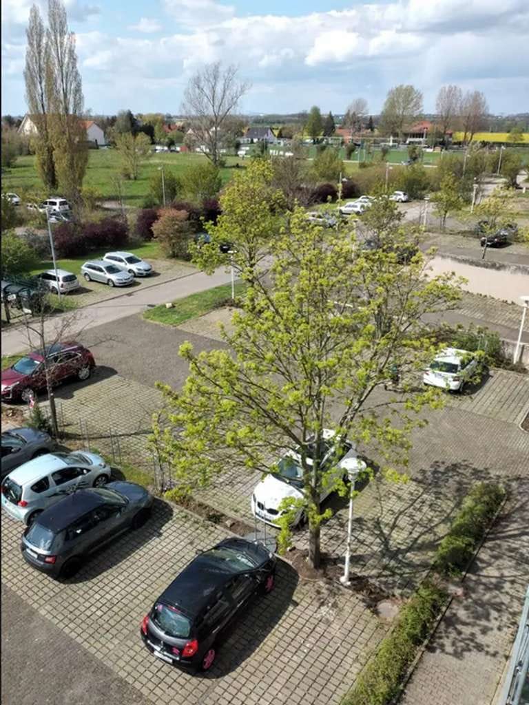 Immobilie in Kabelsketal - Wohnungspaket zum Faktor 17 / 2 Wohnungen / voll vermietet / mit Balkon - Bild 2