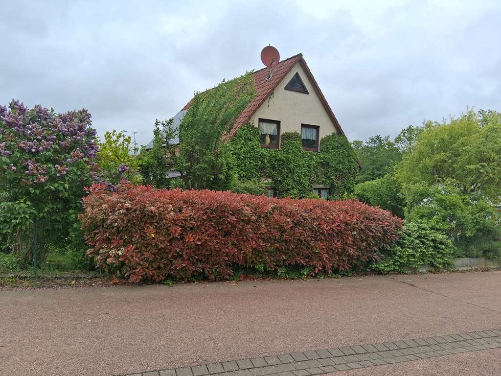 Immobilie in Hettstedt - Eifamilienhaus (BJ 2001) in ruhiger Siedlungslage zu verkaufen - Bild 2
