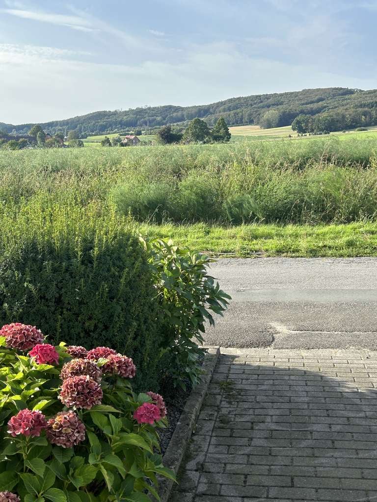 Immobilie in Hilter - Mehrfamilienhaus in Hilter Südkreis Osnabrück, schöne Randlage - Bild 4