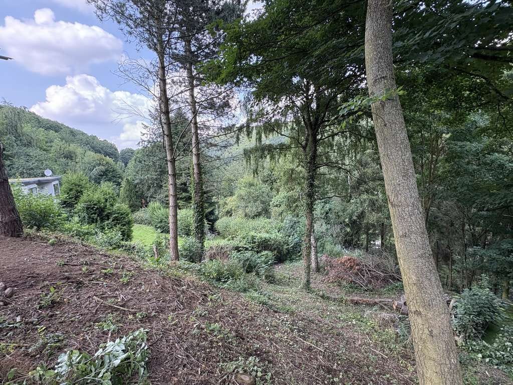 Immobilie in Bad Münstereifel - Eicherscheid-Top Lage-großes Grundstück - Bild 3