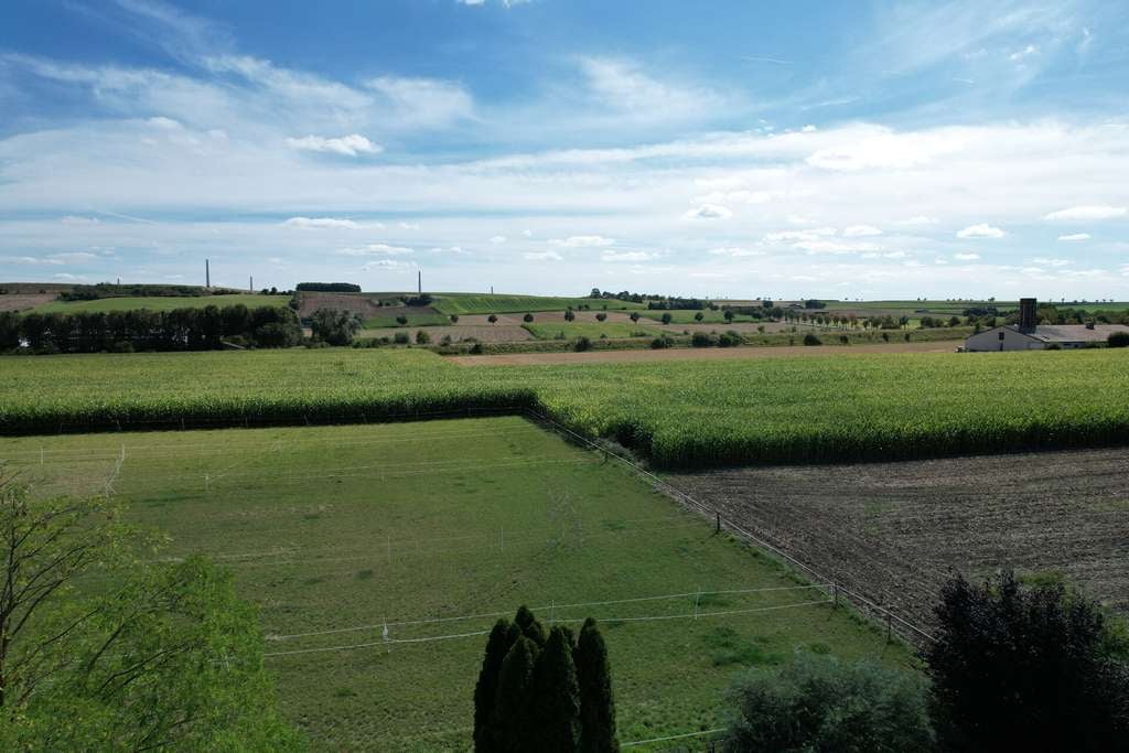 Immobilie in Borgentreich - Niedrigenergie-Holzhaus mit Weitblick, Südgarten & Garage in Borgentreich-Natzungen - Bild 4