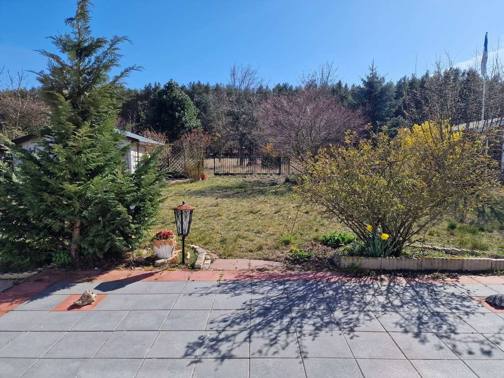 Immobilie in Zempin - Einfamilienhaus mit Blick ins Grüne und großzügigem Grundstück im Seebad Zempin - Bild 2