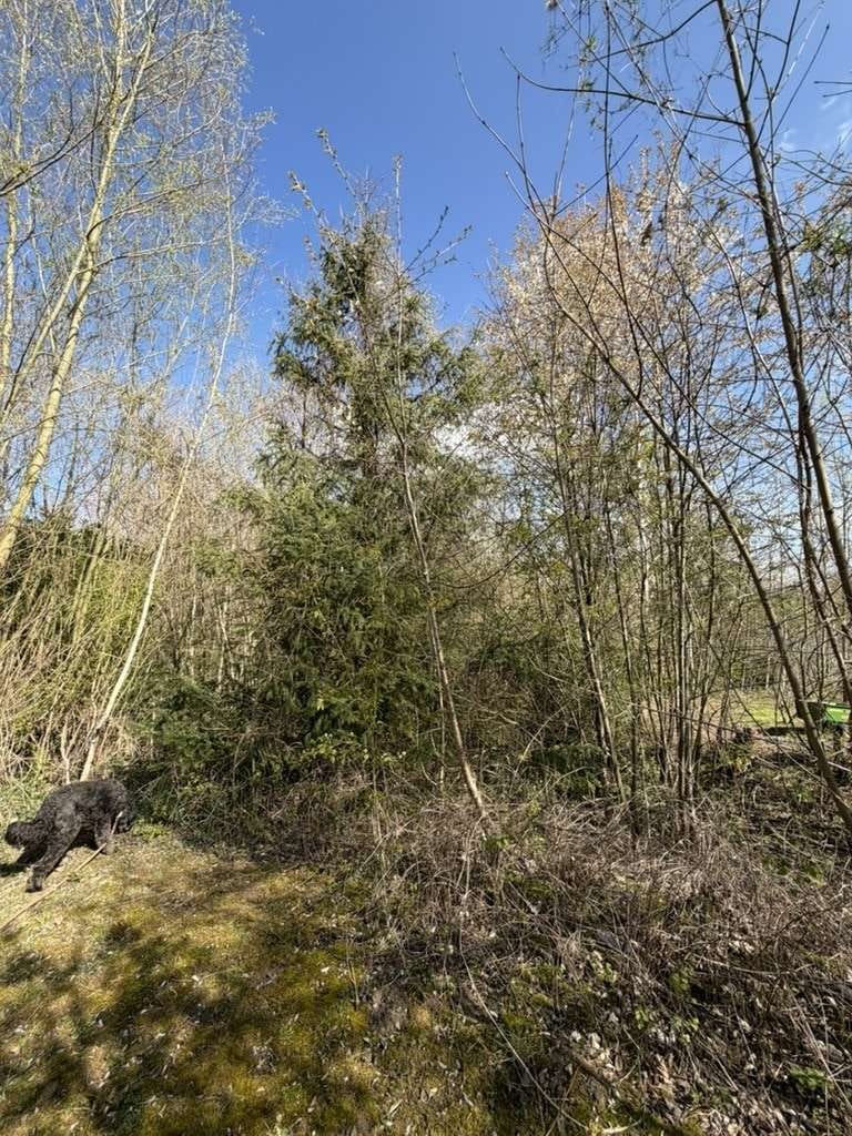 Immobilie in Rheinberg - „Zwei Familien. Ein Zuhause. Unendliche Möglichkeiten.“
 - Bild 4