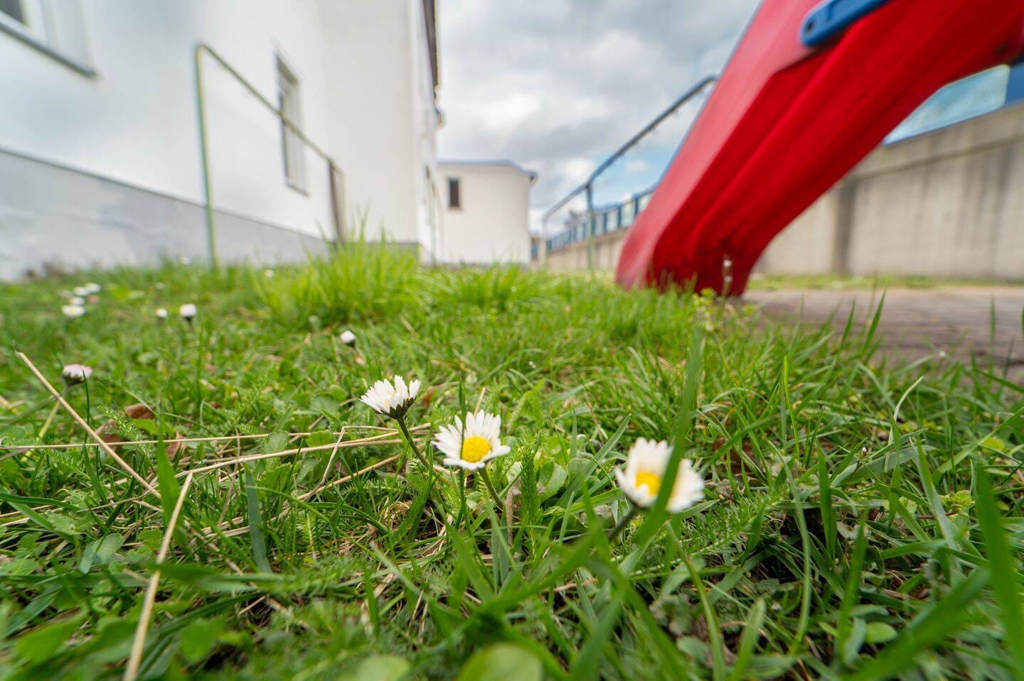 Immobilie in Penig - Solide Kapitalanlage in Städtischen Ambiente - Bild 4