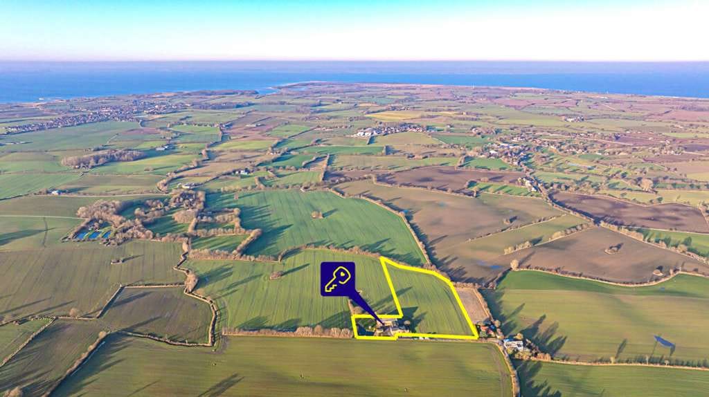 Immobilie in Hasselberg - Resthof mit Hauskoppel in traumhafter Lage zwischen Kappeln und Gelting - Bild 2