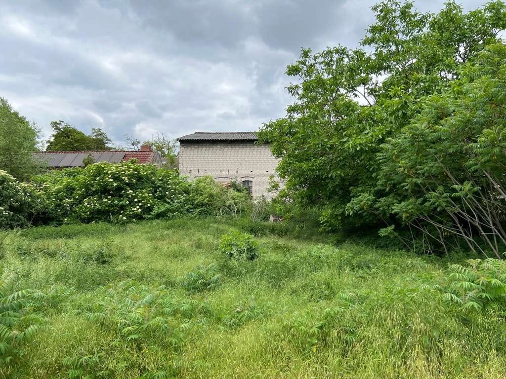Immobilie in Wriezen - PROVISIONSFREIES LANDHAUS | Historischer Charme trifft ländliche Idylle - Bild 2