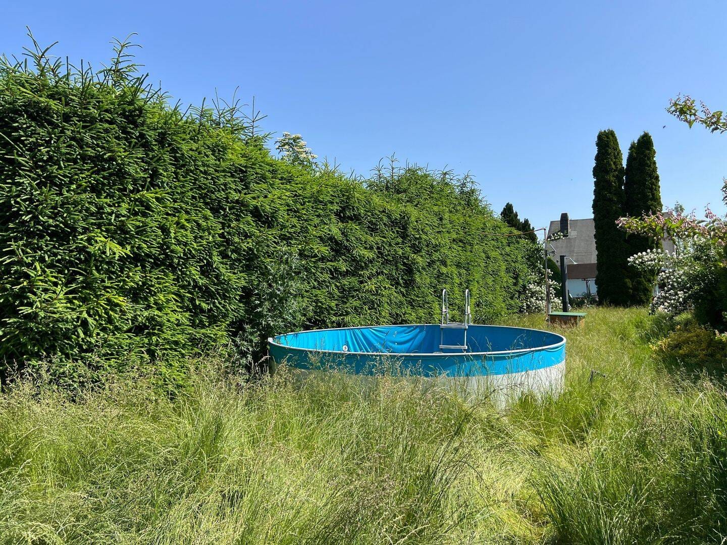 Immobilie in Nessetal - toller Garten mit massivem Gartenhaus und Terrasse  - Bild 4