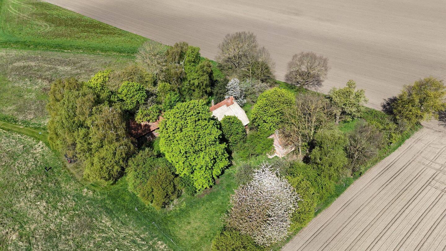 Immobilie in Bruchhausen-Vilsen - Charmantes Reetdachhaus mit Ausbaupotenzial in idyllischer Alleinlage - Bild 3