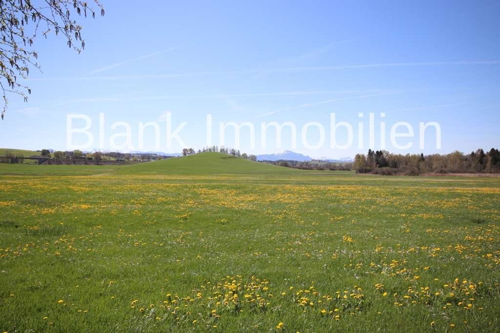 Immobilie in Betzigau - Renovierungsbedürftiger Bauernhof mit Bergblick, Alleinlage und Grund in Betzigau - Provisionsfrei - Bild 3