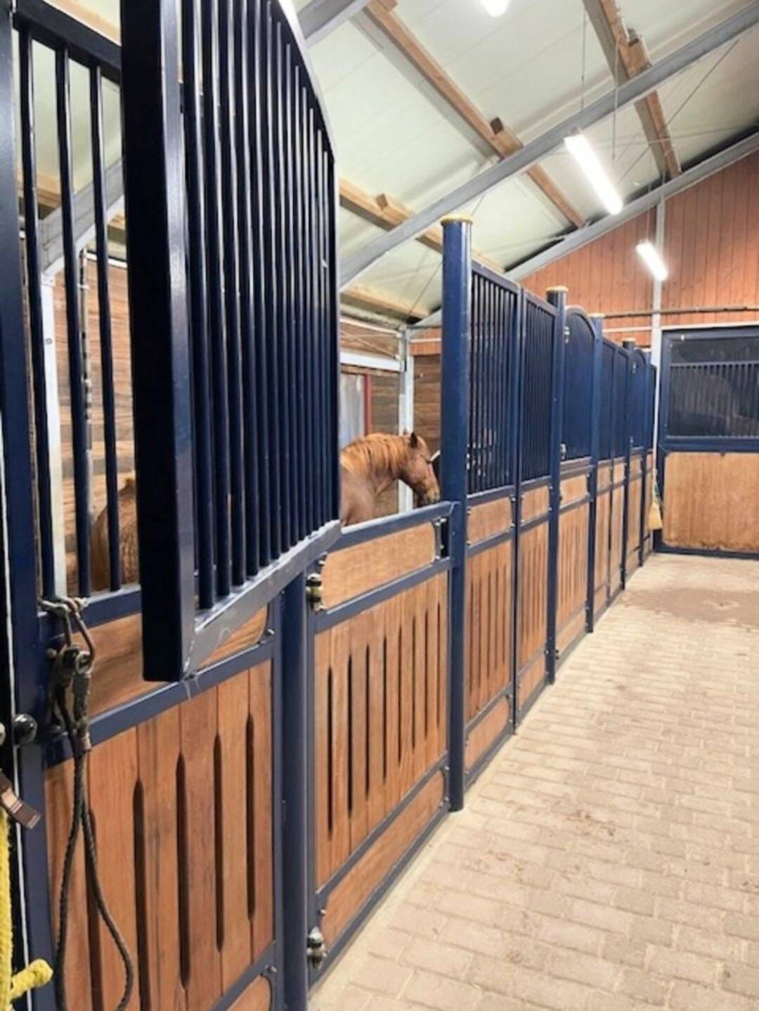 Immobilie in Böklund - Ein- bis Zweifamilienhaus für anspruchsvolle Pferdehalter - Bild 2