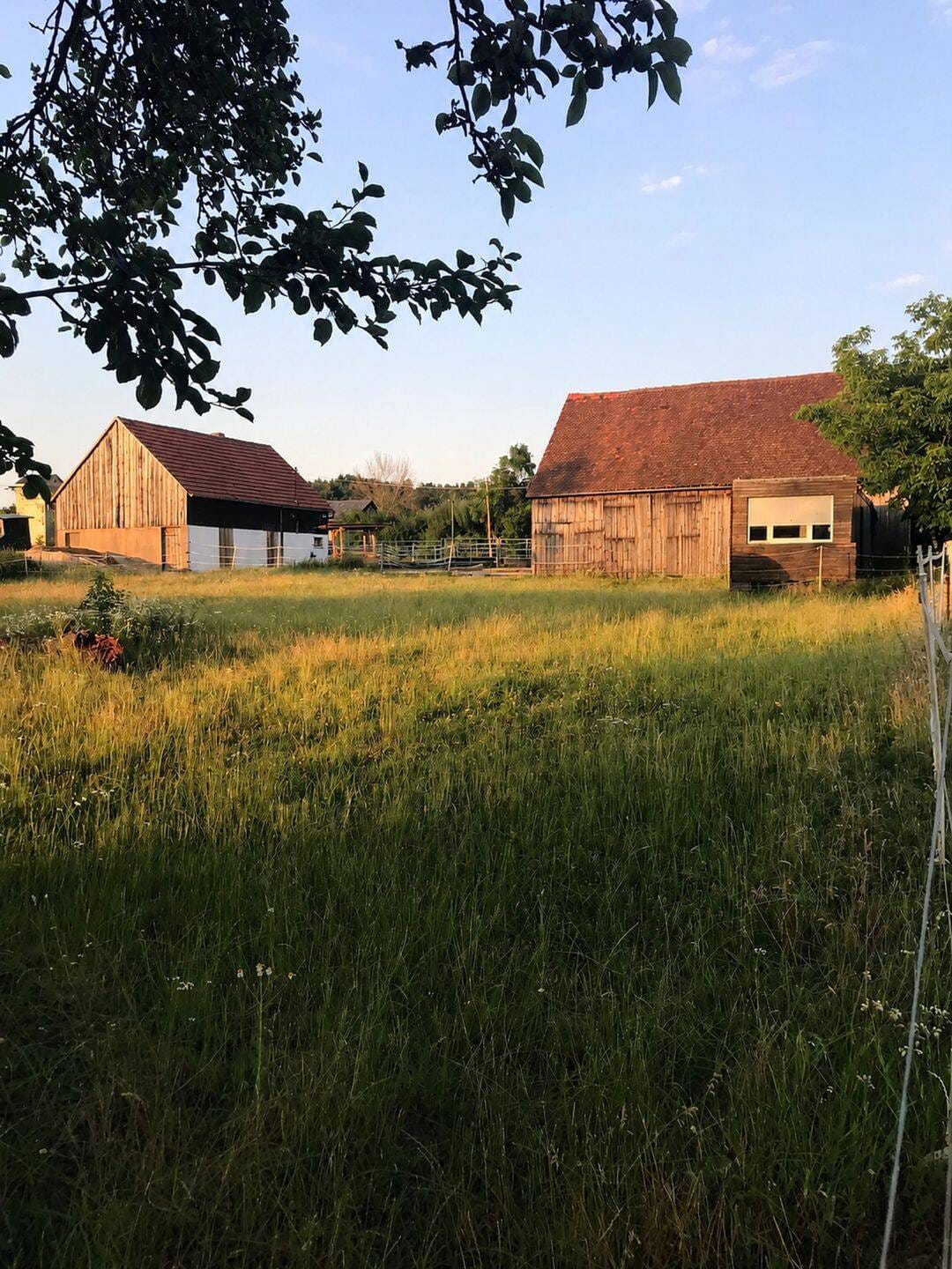 Immobilie in Hohenfels - Traumhaftes Grundstück, älterer Bauernhof, Resthofstelle mit Stallung und Scheune in Hohenfels - Bild 1