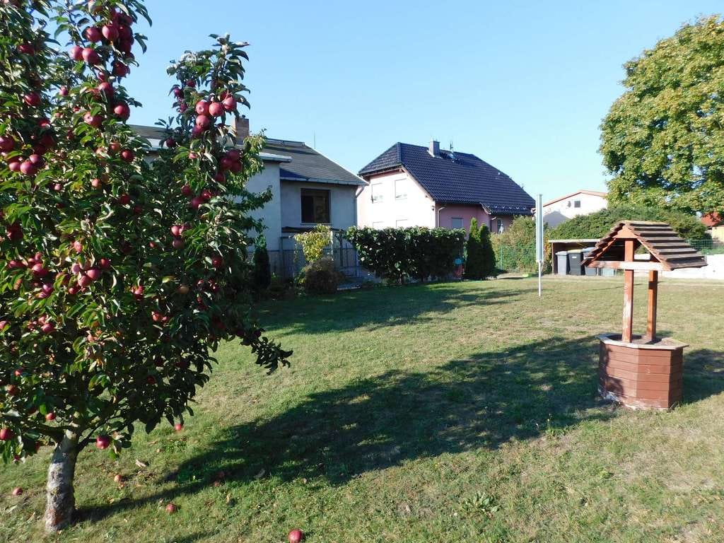 Immobilie in Paulinenaue - Einfamilienhaus mit schönem Garten in Paulinenaue - Bild 4