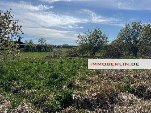 Immobilie in Strausberg - IMMOBERLIN.DE - Sanierungsgelegenheit! Charaktervolles Haus & Nebengebäude auf Südgrundstück - Bild 2
