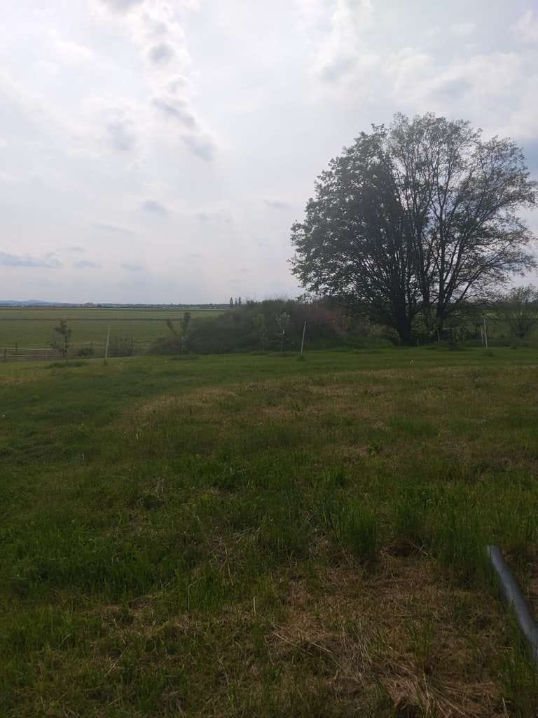 Immobilie in Mühlberg/Elbe - Alltagstaugliches Einfamilienhaus mit 6 Zimmern in Altenau - Bild 3