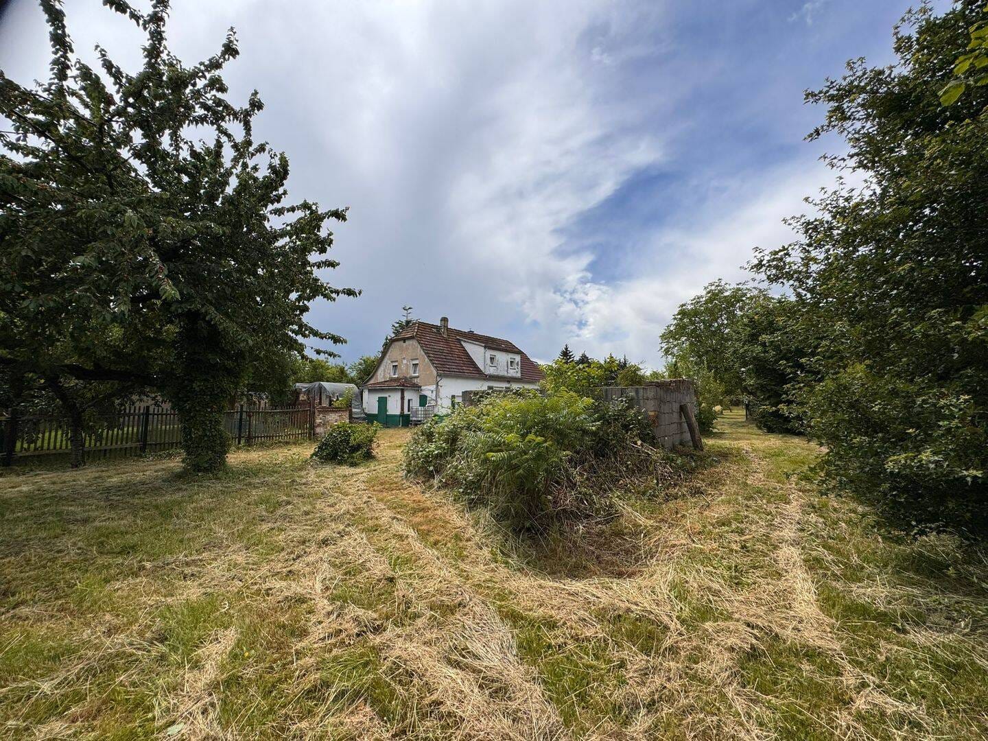 Immobilie in Borsdorf - Einfamilienhaus mit großem Grundstück – Sanierung oder Neubau möglich - Bild 0