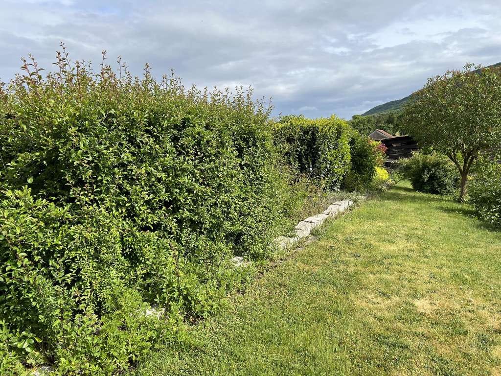 Immobilie in Freden (Leine) - Charmant und exklusiv - Bild 3