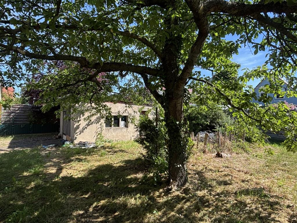 Immobilie in Großenhain - Einfamilienhaus freistehend in Großenhain - Bild 2